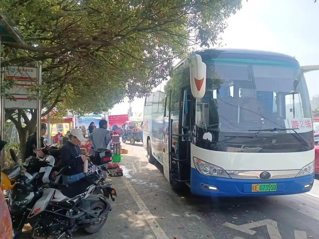 馬鞍山長客:開通2024年大青山“桃花節(jié)”旅游專線